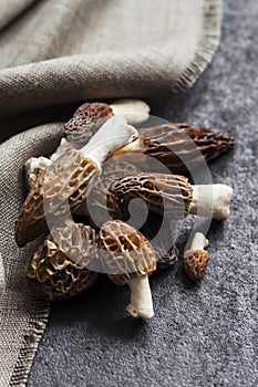 Morel mushrooms closeup on black background