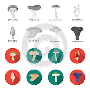 Morel, oyster, green amanita, actarius indigo.Mushroom set collection icons in monochrome,flat style vector symbol stock photo