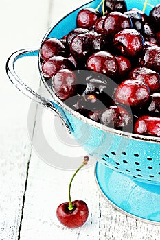 Morello Cherries
