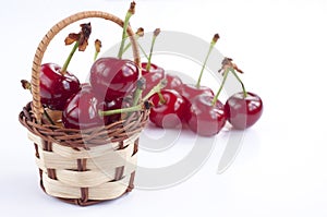 Morello cherry basket photo