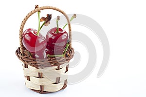 Morello cherry basket photo