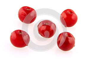 Morello cherry grid photo