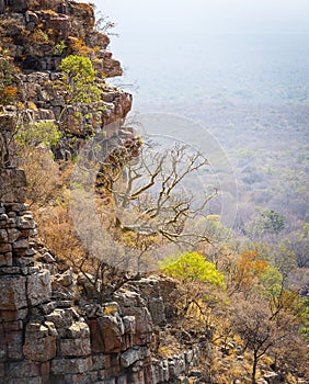 Moremi Gorge Botswana