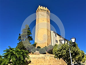 Moresco town in Fermo province, Marche region, Italy. Medieval tower, fortification and trees