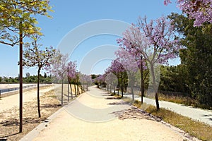 The Moret Park of Huelva photo