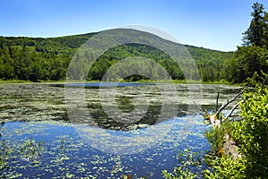 Morey Pond, with Mt. Kearsarge, in Wilmot, New Hampshire