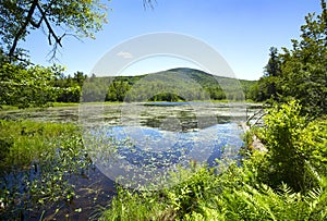 Morey Pond, with Mt. Kearsarge, in Wilmot, New Hampshire