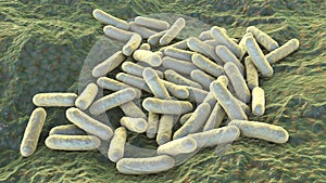 Morganella morganii bacteria, 3D illustration