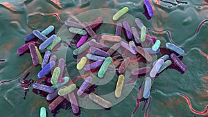 Morganella morganii bacteria, 3D illustration