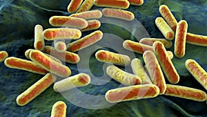 Morganella morganii bacteria, 3D illustration