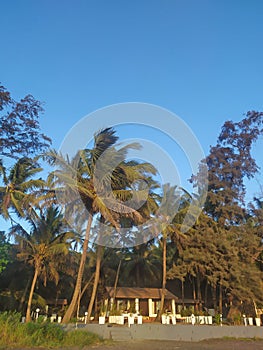 Morgim beach, North Goa, India