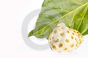 Morinda citrifolia - Noni fruit. Text space