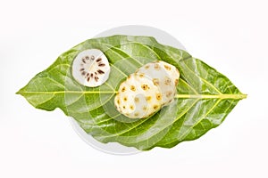 Morinda citrifolia - Noni fruit. Text space