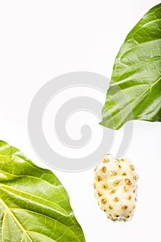 Morinda citrifolia - Noni fruit. Text space