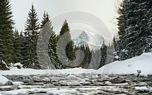 Moring scene - zimná lesná rieka, kamene pokryté ľadom, ihličnaté stromy na oboch stranách, hora Kriváň Slovenský symbol