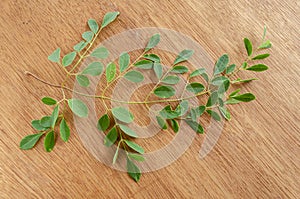 Moringa On Board Background