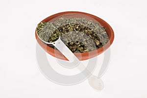 Moringa dried leaves medicinal plant
