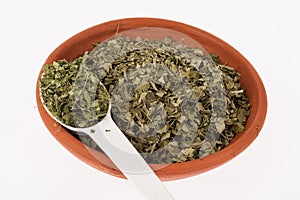 Moringa dried leaves medicinal plant