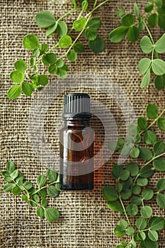 moringa essential oil on burlap background