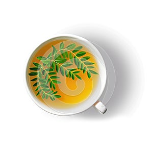 Moringa herbal tea. Cup on a white background. The concept is a healthy lifestyle