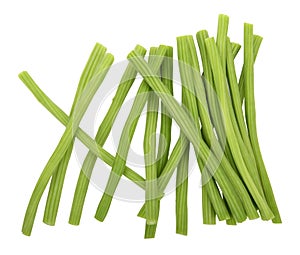 Moringa isolated on a white background