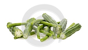 Moringa isolated on a white background