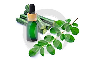 Moringa leaf with essential oil extract