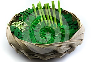 Moringa leaf, flower