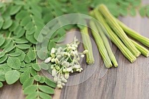Moringa leaf, flower