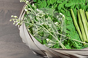Moringa leaf, flower