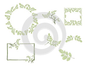 Moringa Leaf and Frame Design Set