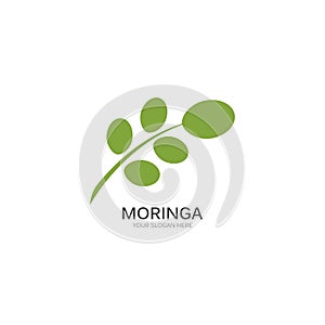 Moringa leaf illustration