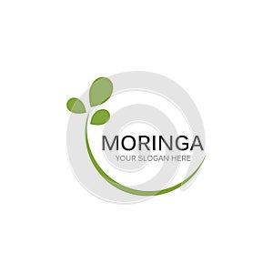 Moringa leaf illustration