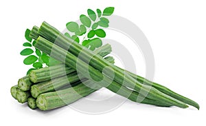 Moringa with leaf isolated on white background