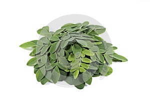 Moringa leaf