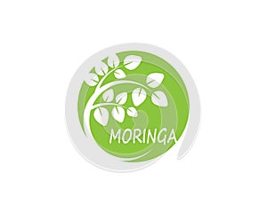 Moringa leaf vector template illustration