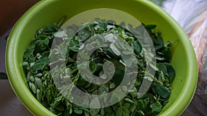 Moringa leaf vegetables that have not been cooked in a basin