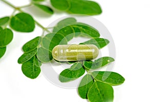 Moringa leaves and capsules on white background