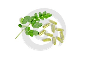 Moringa leaves and capsules on white background