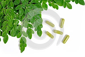 Moringa leaves and capsules on white background