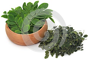 Moringa leaves