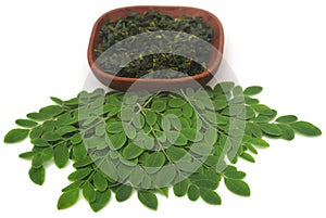 Moringa leaves