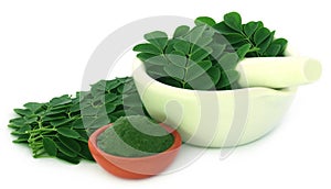 Moringa leaves photo