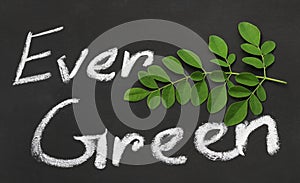 Moringa leaves with written Ever Green