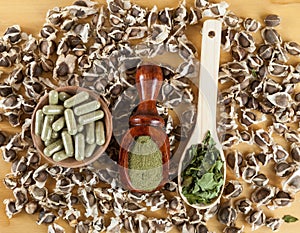 Moringa nutritional plant Seeds, leaves, capsules and powder - Moringa oleifera