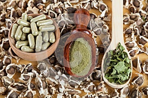 Moringa nutritional plant Seeds, leaves, capsules and powder - Moringa oleifera