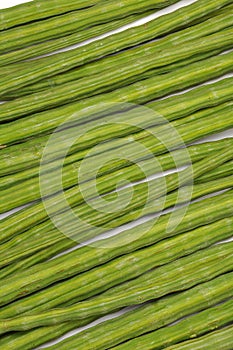Moringa oleifera background photo