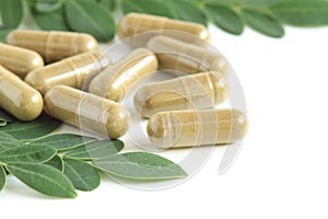 Moringa oleifera capsule with green leaves photo