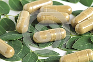 Moringa oleifera capsule with green leaves photo