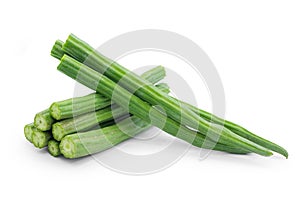 Moringa oleifera isolated on white background